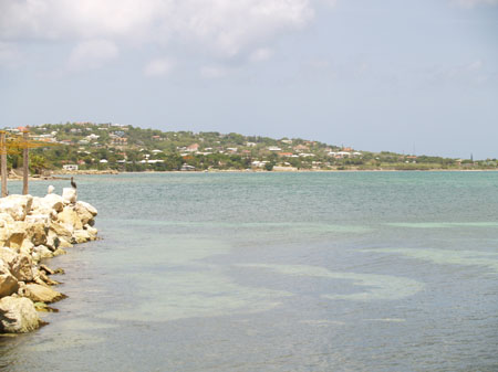 P6230399